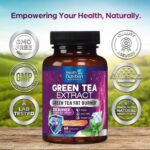 Green Tea Extract Pills - 98% Standardized EGCG 1300mg 3X Strength for Natural Energy - Supports Heart & Antioxidant Health Herbal & Immune Support Supplement Polyphenols & Catechins - 60 Capsules - Image 5