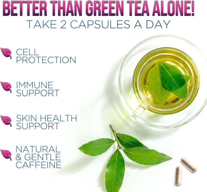 Green Tea Extract Pills - 98% Standardized EGCG 1300mg 3X Strength for Natural Energy - Supports Heart & Antioxidant Health Herbal & Immune Support Supplement Polyphenols & Catechins - 60 Capsules - Image 9