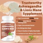 Ashwagandha & Lions Mane Supplement Capsules, Brain Supplements for Memory and Focus, Ashwagandha Supplement with Rhodiola & Black Peppe, Cortisol Supplements for Women & Men,90 Caps - Image 4