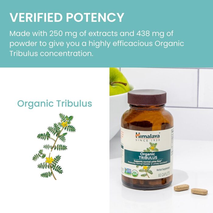 Himalaya Organic Tribulus Terrestris, Herbal Supplement for Urinary Support and Flow, Bladder Function, Prostate Support, Stamina, Male Energy, Non-GMO, USDA Organic, Vegan, 688 mg, 60 Caplets - Image 8