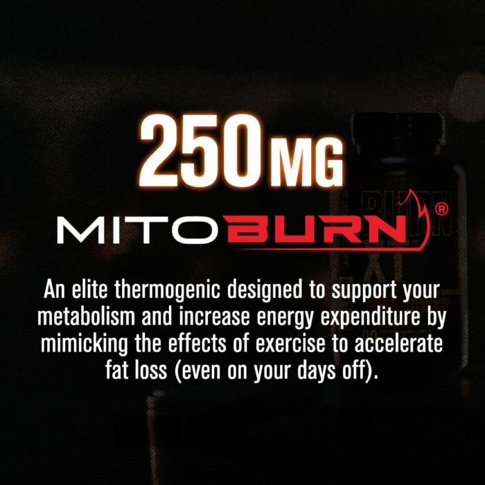 Jacked Factory Burn-XT Max - High-Performance Thermogenic Fat Burner & Appetite Suppressant for Weight Loss w/PurCaf Organic Caffeine, MitoBurn, Green Tea, Acetyl L Carnitine & More - 90 Capsules - Image 3