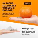 Immune Support Vitamins - Elderberry with Zinc, Vitamin C, and Garlic for Adults - Sambucus Black Elderberry Capsules & Echinacea Immunity Renewal Complex - Powerful Vegan 10 in 1 Immune Defense - Image 5