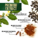 Green Tea Extract Supplement Pills 1000mg - 98% Standardized EGCG with Polyphenols - 3X Strength for Natural Energy - Supports Heart and Antioxidant Health - Nature's Gentle Caffeine - 60 Capsules - Image 5