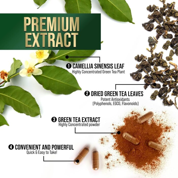 Green Tea Extract Supplement Pills 1000mg - 98% Standardized EGCG with Polyphenols - 3X Strength for Natural Energy - Supports Heart and Antioxidant Health - Nature's Gentle Caffeine - 60 Capsules - Image 6