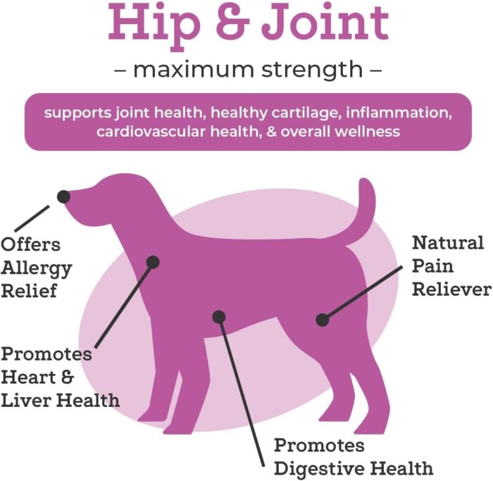 Dr. Joseph's VetPro Complete Dog Hip and Joint Supplement, 120 Count, Chicken Flavored Pain and Inflammation Relief Chews with Glucosamine, Chondroitin, MSM, Turmeric, Vitamin C, Omega 3 - Image 4