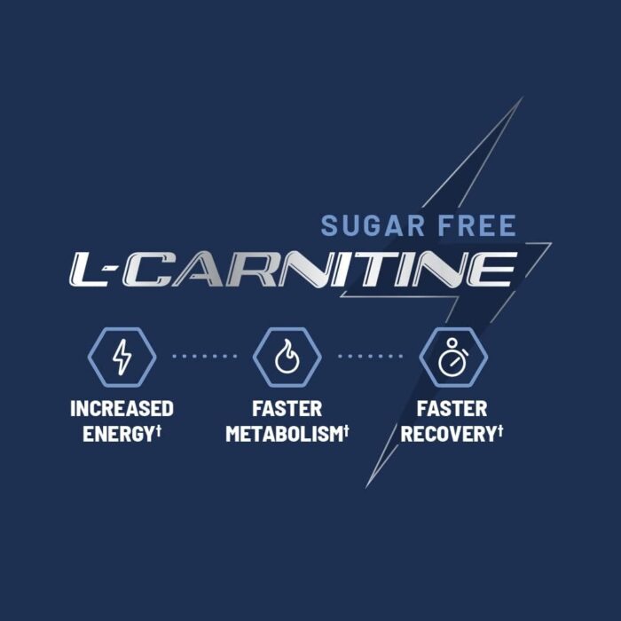 Sugar Free L Carnitine 500mg Gummy - Natural Pre Workout L-Carnitine Supplement - Increased Energy, Faster Recovery, Boost Metabolism, Pre Workout for Women & Men, Blueberry Flavor (60 Gummies) - Image 3