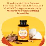Four Sigmatic Focus Capsules | Lion's Mane Supplement Capsules | Brain Boosting Complex with Ashwagandha, Bacopa Monnieri & Rhodiola | Vegan Nootropic Adaptogen & Mushroom Supplement | 30 Servings - Image 4
