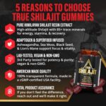 Pure Himalayan Shilajit Gummies for Men – Energy & Focus Support with Ashwagandha & Sea Moss, Pure Shilajit for Women, True Gold Himalayan Shilajit Resin Gummies, Vegan & Non-GMO, 60 Count - Image 3