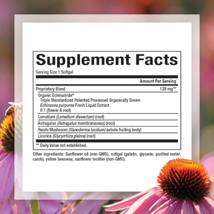 Natural Factors Anti-V Formula, Echinacea Supplement for Immune and Wellness Support, Organic, Non-GMO, 120 Softgels - Image 3