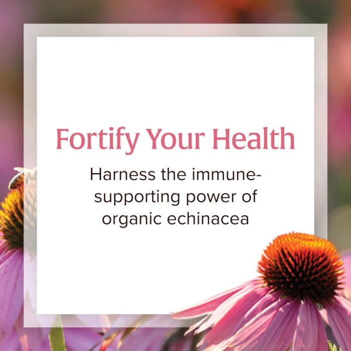 Natural Factors Anti-V Formula, Echinacea Supplement for Immune and Wellness Support, Organic, Non-GMO, 120 Softgels - Image 4