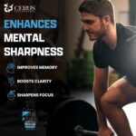Cerus Performance Focus Nootropic Supplement - Enhances Mental Clarity, Boosts Memory & Cognitive Function, Improves Alertness - Ideal for Athletes & Fitness Enthusiasts - 60 Capsules - Image 3