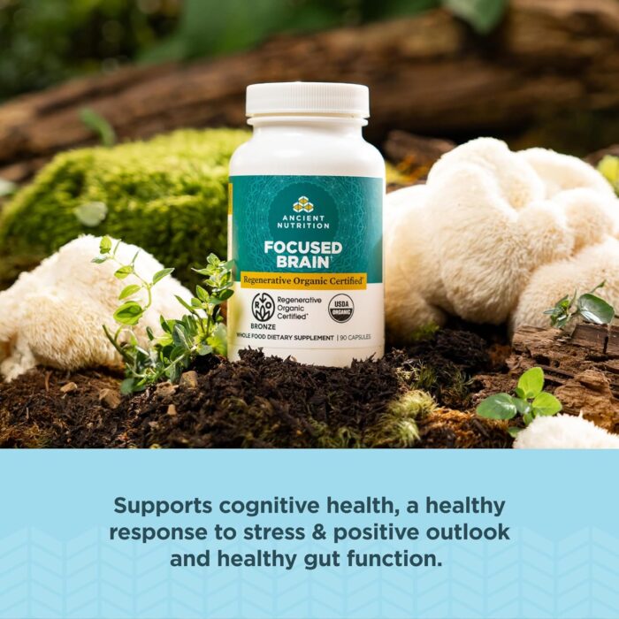 Ancient Nutrition Regenerative Organic Certified Focused Brain Capsules, Made with Ginkgo Leaf, Lion's Mane to Help Reduce Stress, Gluten Free, Paleo and Keto Friendly, 90 Count - Image 4