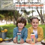 Blessed Blueberry Hibiscus Sea Moss Lemonade – Refreshing & Nourishing Beverage with Real Fruit & Herbal Infusion, Rich in Antioxidants & Essential Minerals, Supports Hydration Drink - Pack Of 6 - Image 5