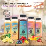 Blessed Blueberry Hibiscus Sea Moss Lemonade – Refreshing & Nourishing Beverage with Real Fruit & Herbal Infusion, Rich in Antioxidants & Essential Minerals, Supports Hydration Drink - Pack Of 6 - Image 6