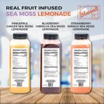 Blessed Blueberry Hibiscus Sea Moss Lemonade – Refreshing & Nourishing Beverage with Real Fruit & Herbal Infusion, Rich in Antioxidants & Essential Minerals, Supports Hydration Drink - Pack Of 6 - Image 7