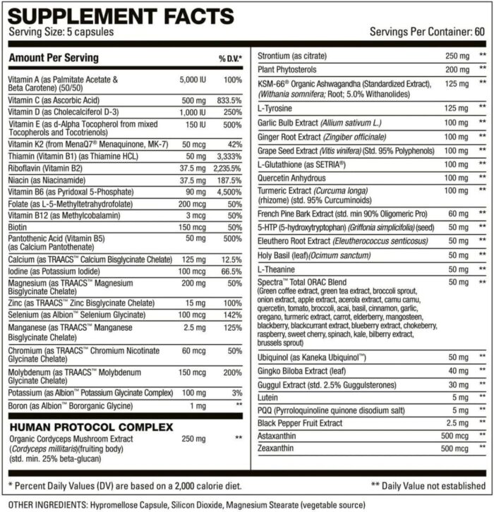 HD MUSCLE VitaHD Essential Multivitamin | Athlete-Specific Vitamins, Minerals, & Nutrients | Organic Mushroom Blend, KSM66 Ashwagandha, Ubiquinol | 60 Servings - Image 3