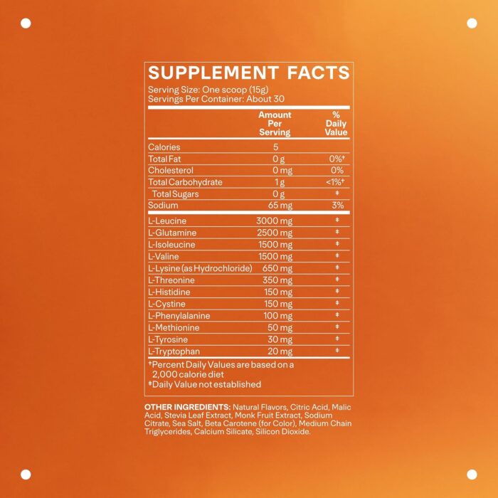 LTH Rally Amino Recovery - Muscle Supplement for Athletes Before & After Exercise - BCAA Powder with All 9 Amino Acids & L-Glutamine - Supports Immune & Joint Health - Lemon Lime, 30 Servings - Image 3
