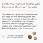 EcoNugenics Ten Mushroom Supplement: Daily Immune Support, 120 Capsules – Lion’s Mane, Reishi, Cordyceps, Turkey Tail, Maitake, Shiitake – Energy, Gut Health, Liver, Kidney & Nootropic Brain Support - Image 4