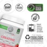 Creatine Monohydrate Powder Micronized PreWorkout Recovery Supplement | Support Muscle Building Strength Training Cognition | Vegan & Keto Friendly Easily Mixes (50 Servings) Raspberry Flavored - Image 4