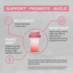 Creatine Monohydrate Powder Micronized PreWorkout Recovery Supplement | Support Muscle Building Strength Training Cognition | Vegan & Keto Friendly Easily Mixes (50 Servings) Raspberry Flavored - Image 5