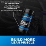 Muscletech Nitric Oxide Supplements for Men & Women, Muscle Builder (30 Capsules) - Nitric Oxide Booster Supplement Supports Muscle Gain & Performance - 400mg Peak ATP for Enhanced Strength - Image 4