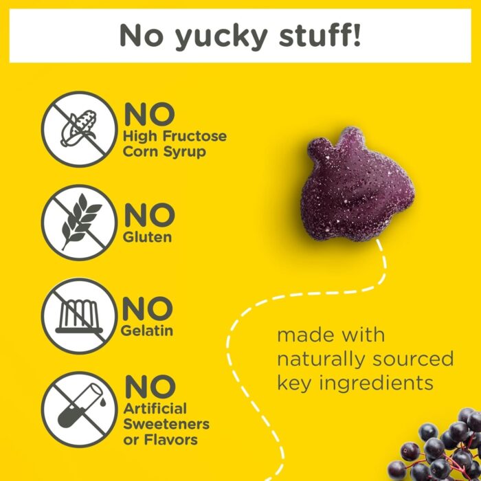 Zarbee's Children's Daily Immune Support Gummies with Real Elderberry + Vitamins A, C, D, E & Zinc to Help Promote a Healthy Immune System, No Artificial Flavors, Gluten-Free, 42 ct - Image 3