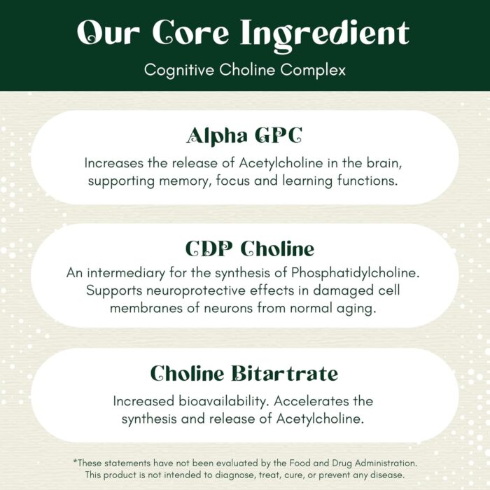 Alpha Focus Nootropic - Memory and Focus Brain Booster Supplement with Choline, Citicoline, GPC, L-Tyrosine, Bacopa Monnieri, DMAE, Gingko Biloba, Lion's Mane, Niacinamide - 60 Capsules - Image 6
