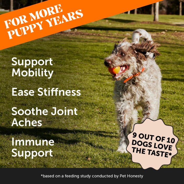Pet Honesty Hip & Joint Turmeric Health - Joint Supplement for Dogs, Omega-3 Fish Oil, Turmeric to Support Overall Health & Ease Stiffness - Advanced Pet Mobility Support - 90 Ct (Pumpkin) - Image 3