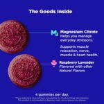 OLLY Relaxing Magnesium Gummies, Supports Muscle Relaxation*, Magnesium Citrate, Raspberry Lavender Flavor, 15 Day Supply - 60 Count - Image 3
