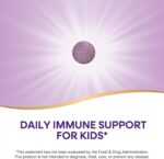 Nature's Way Sambucus Immune Chewable for Kids, Elderberry, Ages 2+, Immune Support*, Vitamins C & A, Zinc, Gluten Free, 40 Chewable Tablets (Packaging May Vary) - Image 4