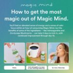 Magic Mind Energy and Focus Drink Shots - Stress Relieving, No Jitters, Ashwagandha, Vitamin B12, Vitamin C, Matcha Green Tea, Functional Mushrooms - 2 FL Oz (15 Pack) - Image 5
