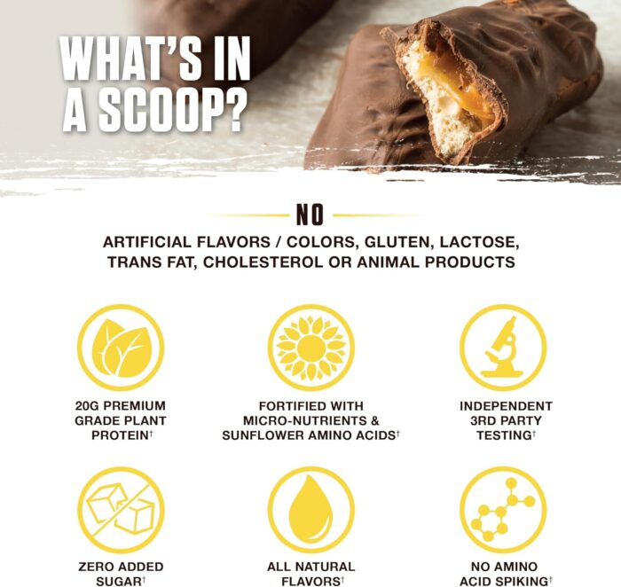 Ambrosia Planta - Premium Organic Plant-Based Protein | Vegan & Keto Friendly | Gourmet Flavors with No Bloating or Stomach Upset | Gluten & Soy Free | No Added Sugar | 14 Servings | (Candy Bar) - Image 5
