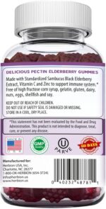 HERBION Elderberry Gummies with Vitamin C & Zinc - Healthy Immune System Support - Gluten-Free & Gelatin-Free - 60 Gummies for Adults & Children 4 Years & Above - Made in USA, 60 Count (Pack of 1) - Image 3