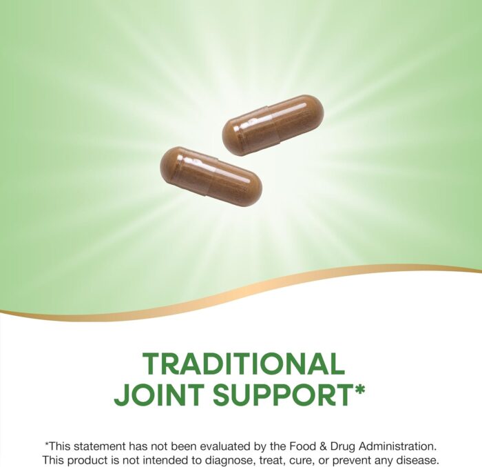 Nature's Way Burdock Root, Traditional Joint Support*, 100 Vegan Capsules (Packaging May Vary) - Image 4