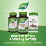 Nature's Way Burdock Root, Traditional Joint Support*, 100 Vegan Capsules (Packaging May Vary) - Image 6