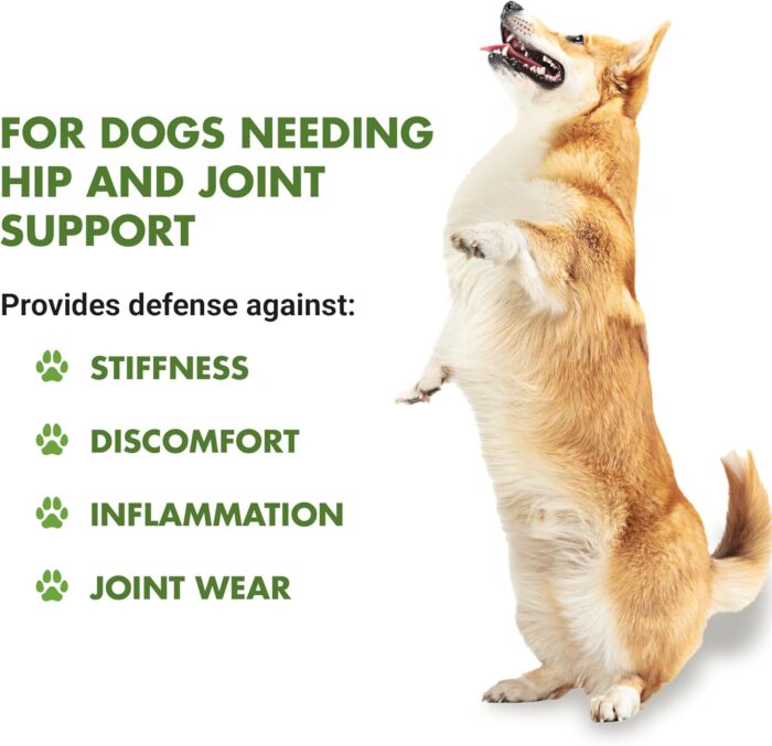 K9 Hip & Joint Advanced Formula, Chicken Flavor, 8 oz Bogo Trial Pack - Image 3