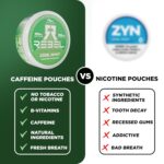 Nootropic Energy Caffeine Pouches • 100mg Caffeine • Alpha GPC • Huperzine A & Essential Vitamins • Sugar-Free • Coconut Fiber Technology • Cool Mint Flavor • 15 Pouches Per Can (Pack of 4) - Image 7