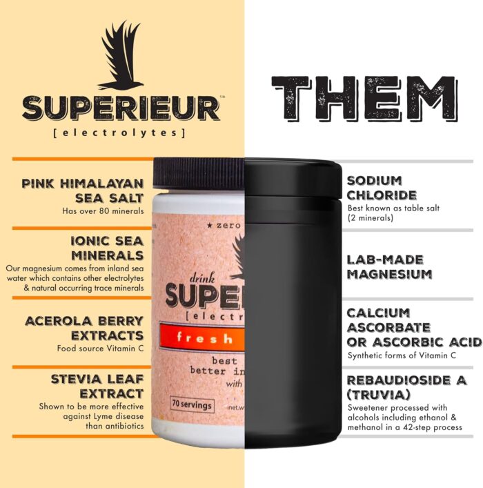 Superieur Electrolytes – Plant Based Electrolyte Supplement w/Sea Minerals for Hydration & Recovery – Keto Friendly, Non-GMO, Zero Sugar, Vegan Healthy Sports Drink Powder – Citrus (70 Servings) - Image 3