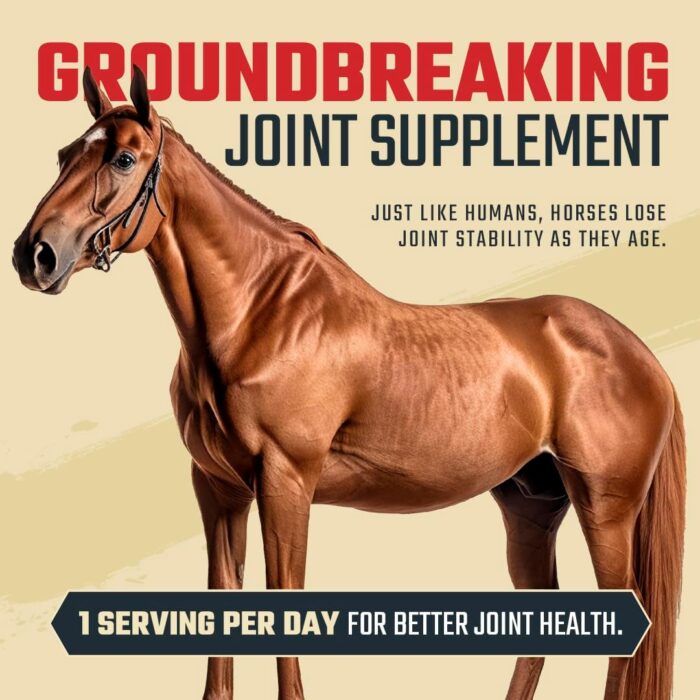 8 in 1 Maximum Strength Equine Joint Supplement - Joint Supplement for Horses - Glucosamine, MSM, Chondroitin, Turmeric, Hyaluronic Acid, Manganese, & Boswelia - 964g (30 Servings) - Image 4