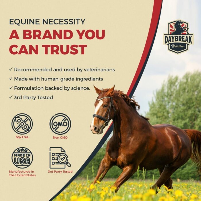 8 in 1 Maximum Strength Equine Joint Supplement - Joint Supplement for Horses - Glucosamine, MSM, Chondroitin, Turmeric, Hyaluronic Acid, Manganese, & Boswelia - 964g (30 Servings) - Image 7