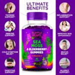 Sea Moss Gummies & Elderberry - Vitamin C + Zinc – Extra Strength Immune & Thyroid Support Booster Gummy Bears for Kids & Adults - 60 Seamoss Gummies - Made in The USA - Image 5