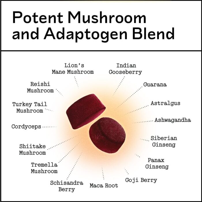 Mushroom Gummies - Lion’s Mane, Cordyceps, Reishi, Shitake Adaptogen Mushroom Supplement to Support Immune System De-Stress Boost Mood & Energy in Adults Natural, Sugar-Free, Vegan, Non-GMO, 60 Count - Image 5
