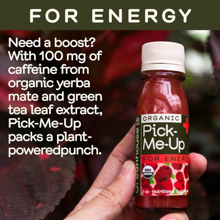 Greenhouse Juice Organic Energy Shot Pick-Me-Up Wellness Shot with Yerba Mate + Green Tea & Caffeine Energy Immunity Shots Vegan & Gluten-Free (2 Oz, Pack of 12) - Image 3