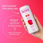 BENNY Low Sugar Natural Energy Drinks, Sparkling Variety Pack (12 Cans) - Healthy Energy Drinks - Adaptogen Functional Beverage - Natural Coffee Replacement with Yerba Mate Caffeine and Nootropics - - Image 4