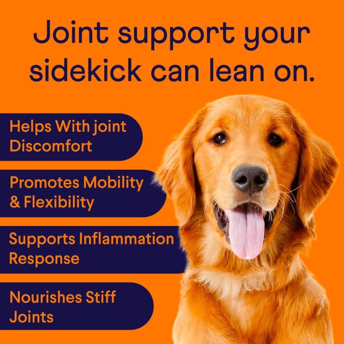 Finn Hip and Joint Supplement for Dogs | Glucosamine, Chondroitin & MSM for Joint and Mobility Support | with Turmeric, BioPerine and B-Vitamins | 90 Soft Chews - Image 3