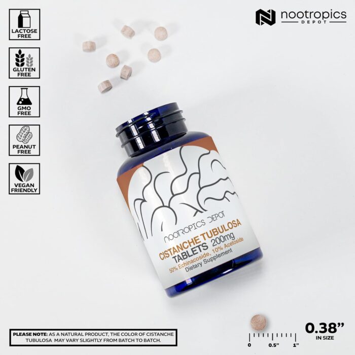 Nootropics Depot Cistanche tubulosa Tablets | 200mg | 60 Count | Minimum 50% Echinacoside + 10% Acetoside (Verbascoside) | Promotes Physical Strength and Energy | Promotes Vitality - Image 4