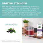 Himalaya Elderberry Mix, Drink Mix Supplement, Immune Support with Elderberry, Zinc, Vitamin C and Holy Basil, Caffeine Free, 10-0.15 oz (4.3 g) Packets, Easy to Mix, Gluten Free - Image 5