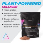 Livingood Daily Plant Collagen Powder (Chocolate) - Collagen Protein Powder with Vitamin C, Spirulina & Amino Acids for Healthy Hair, Skin & Nails - Energy & Muscle Growth Formula - Vegan, 30 Servings - Image 3