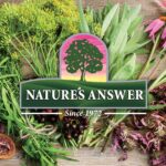 Nature's Answer Tart Cherry 8 Ounce Liquid | Promotes Recovery & Sleep | Rich in Anthocyanins | Non GMO | Gluten Free | Vegan - Image 6