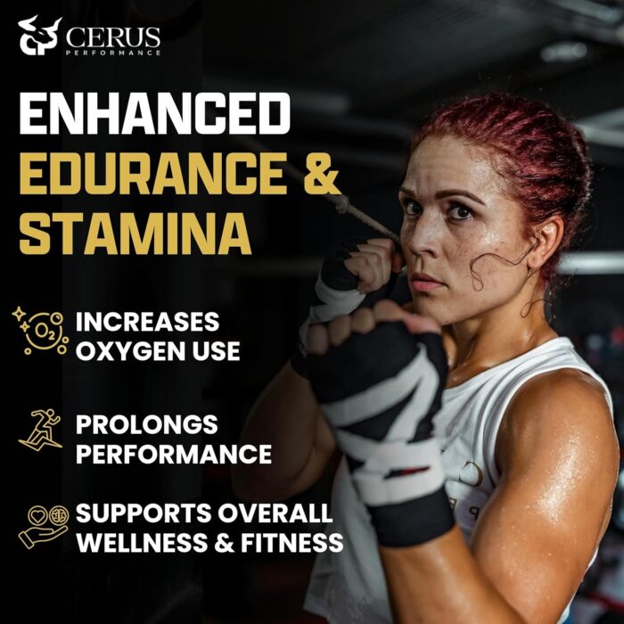 Cerus Performance Flow Stimulant-Free Endurance Pre-Workout – Boosts Stamina, Supports Heart Health with Natural Herbs, Vegan-Friendly - 2 Fl Oz - Image 4